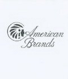 AMERICAN BRANDS logo