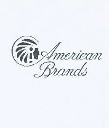 AMERICAN BRANDS logo