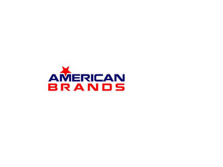 AMERICAN BRANDS logo