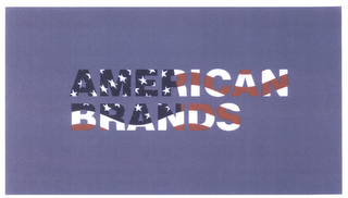 AMERICAN BRANDS logo