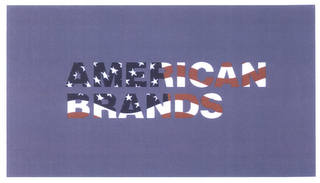 AMERICAN BRANDS logo