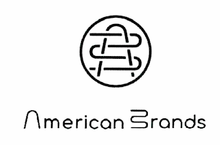 AMERICAN BRANDS logo