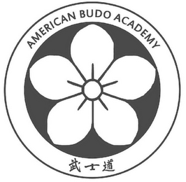 AMERICAN BUDO ACADEMY logo