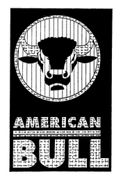 AMERICAN BULL logo