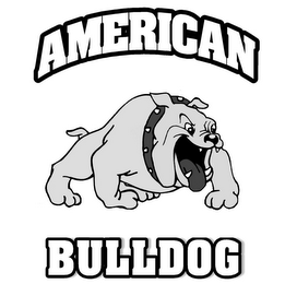 AMERICAN BULLDOG logo