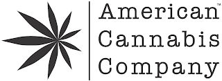 AMERICAN CANNABIS COMPANY logo