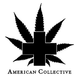 AMERICAN COLLECTIVE logo