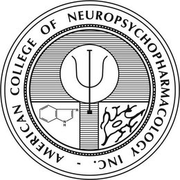 AMERICAN COLLEGE OF NEUROPSYCHOPHARMACOLOGY INC. logo