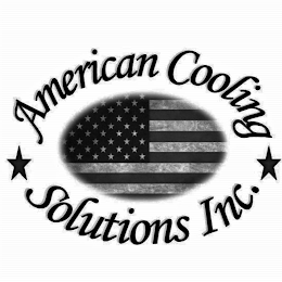 AMERICAN COOLING SOLUTIONS INC. logo