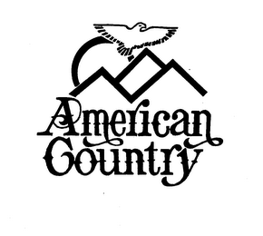 AMERICAN COUNTRY logo