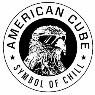 AMERICAN CUBE SYMBOL OF CHILL logo