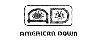 AMERICAN DOWN AD logo