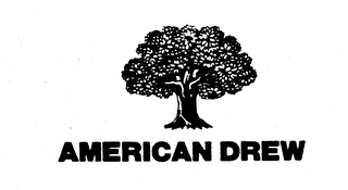 AMERICAN DREW logo