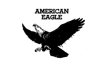 AMERICAN EAGLE logo