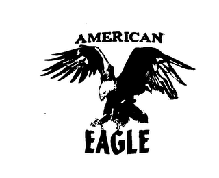 AMERICAN EAGLE logo