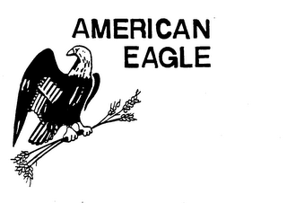 AMERICAN EAGLE logo