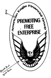 AMERICAN EAGLE FINANCIAL GROUP PROMOTING FREE ENTERPRISE logo