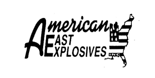 AMERICAN EAST EXPLOSIVES INC logo