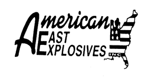 AMERICAN EAST EXPLOSIVES INC logo