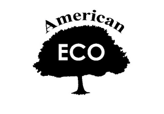 AMERICAN ECO logo