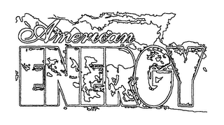 AMERICAN ENERGY logo