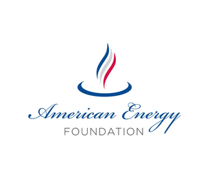 AMERICAN ENERGY FOUNDATION logo