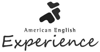 AMERICAN ENGLISH EXPERIENCE logo