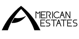 AMERICAN ESTATES logo