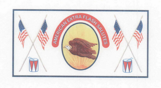 AMERICAN EXTRA FLASH SALUTES logo