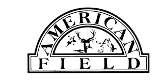 AMERICAN  F I E L D logo