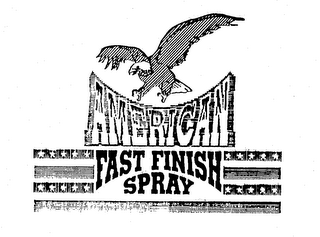 AMERICAN FAST FINISH SPRAY logo