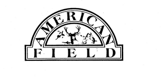 AMERICAN FIELD logo