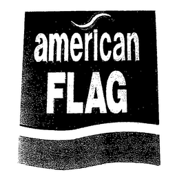 AMERICAN FLAG logo