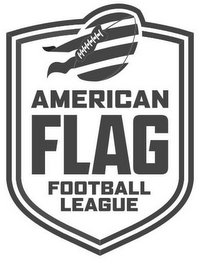 AMERICAN FLAG FOOTBALL LEAGUE logo