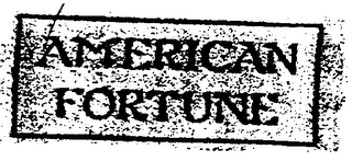 AMERICAN FORTUNE logo