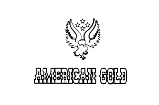 AMERICAN GOLD logo