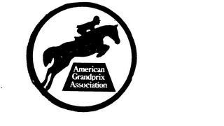 AMERICAN GRANDPRIX ASSOCIATION logo