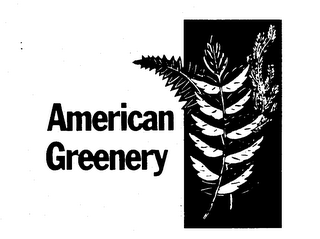 AMERICAN GREENERY logo
