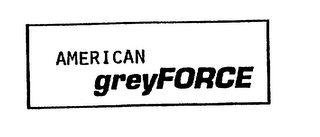 AMERICAN GREYFORCE logo