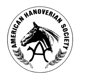 AMERICAN HANOVERIAN SOCIETY logo