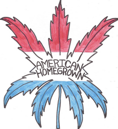 AMERICAN HOMEGROWN logo
