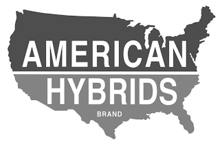 AMERICAN HYBRIDS BRAND logo