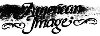 AMERICAN IMAGE logo