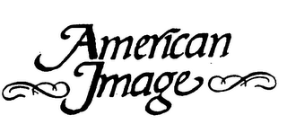 AMERICAN IMAGE logo