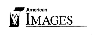 AMERICAN IMAGES logo