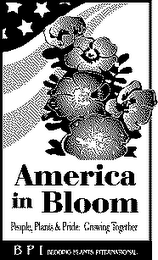 AMERICAN IN BLOOM PEOPLE, PLANTS & PRIDE GROWING TOGETHER BPI BEDDING PLANTS INTERNATIONAL logo
