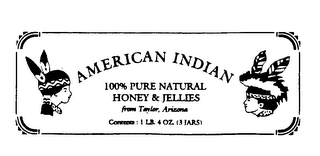 AMERICAN INDIAN 100% PURE NATURAL HONEY & JELLIES logo