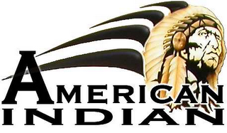 AMERICAN INDIAN logo