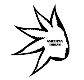 AMERICAN INDIAN logo