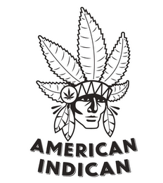 AMERICAN INDICAN logo